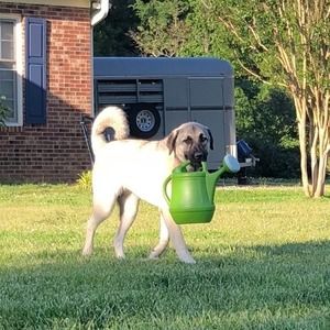 Meet your Posher, Jaime